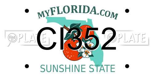 CI352 Florida License Plate