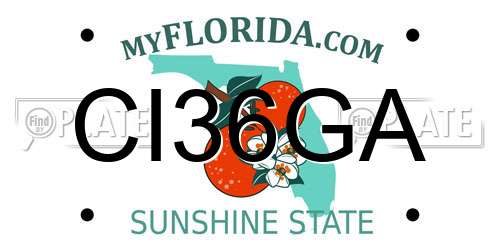 CI36GA Florida License Plate