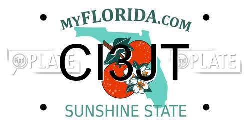 CI3JT Florida License Plate