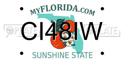 CI48IW Florida License Plate