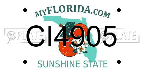 CI4905 Florida License Plate