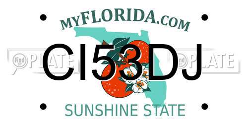 CI53DJ Florida License Plate