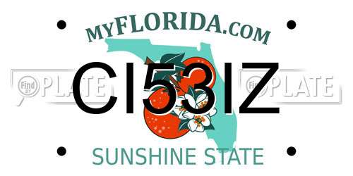 CI53IZ Florida License Plate