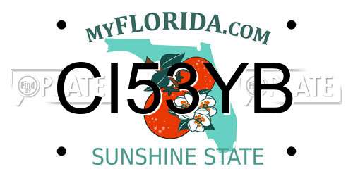 CI53YB Florida License Plate