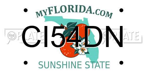 CI54DN Florida License Plate
