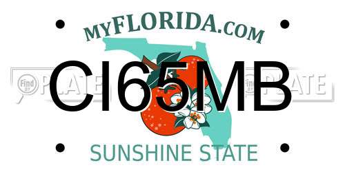 CI65MB Florida License Plate