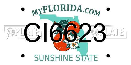 CI6623 Florida License Plate