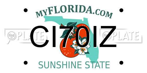 CI70IZ Florida License Plate