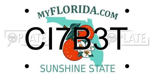 CI7B3T Florida License Plate