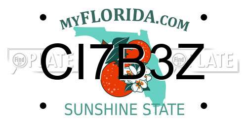 CI7B3Z Florida License Plate
