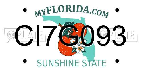 CI7G093 Florida License Plate