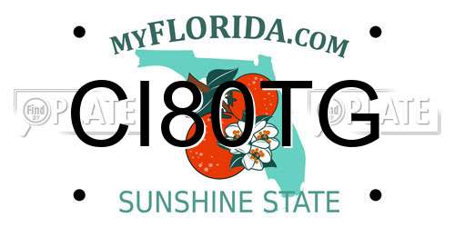 CI80TG Florida License Plate