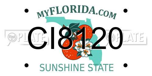 CI8120 Florida License Plate