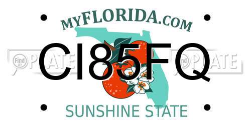 CI85FQ Florida License Plate