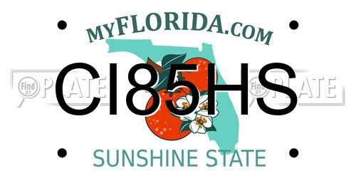 CI85HS Florida License Plate