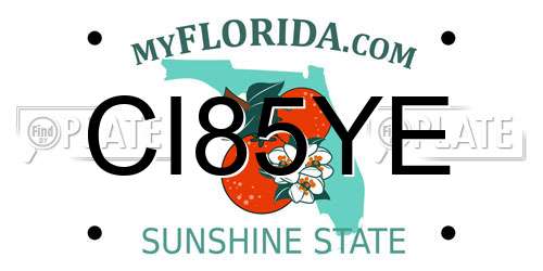 CI85YE Florida License Plate