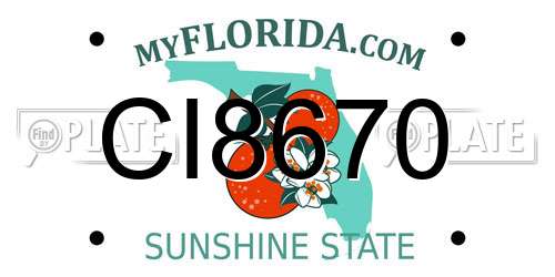 CI8670 Florida License Plate