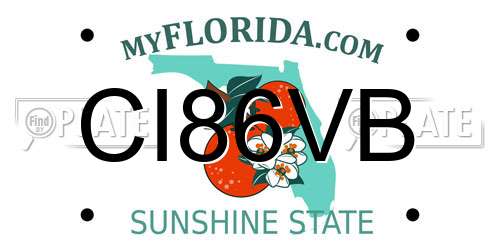 CI86VB Florida License Plate