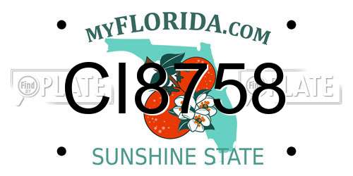 CI8758 Florida License Plate