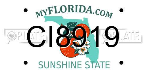 CI8919 Florida License Plate