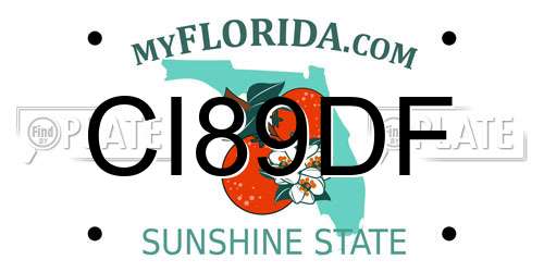 CI89DF Florida License Plate