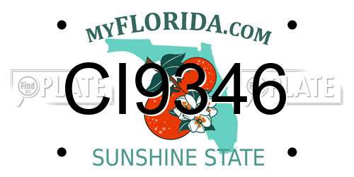 CI9346 Florida License Plate