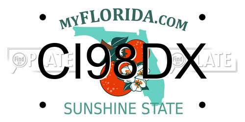 CI98DX Florida License Plate