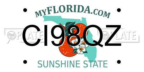 CI98QZ Florida License Plate