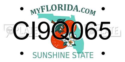 CI9Q065 Florida License Plate