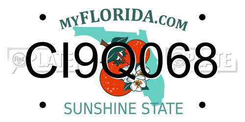 CI9Q068 Florida License Plate