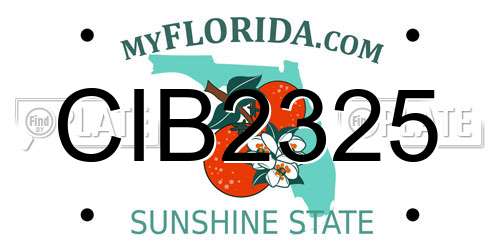 CIB2325 Florida License Plate