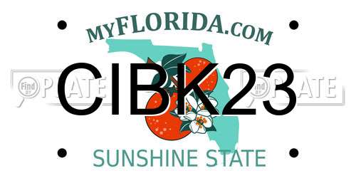 CIBK23 Florida License Plate