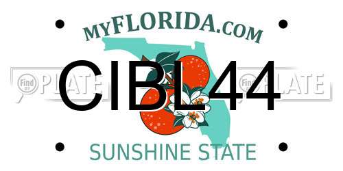 CIBL44 Florida License Plate