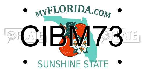 CIBM73 Florida License Plate