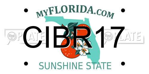 CIBR17 Florida License Plate