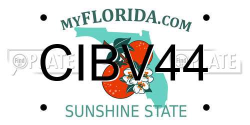 CIBV44 Florida License Plate