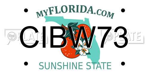 CIBW73 Florida License Plate