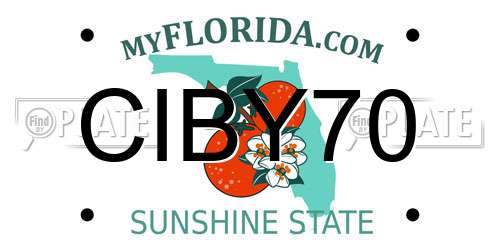 CIBY70 Florida License Plate