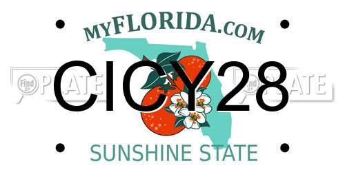 CICY28 Florida License Plate