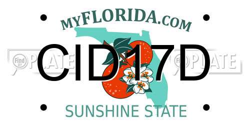 CID17D Florida License Plate