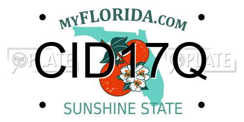 CID17Q Florida License Plate