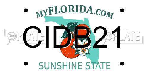 CIDB21 Florida License Plate