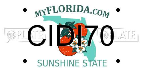 CIDI70 Florida License Plate