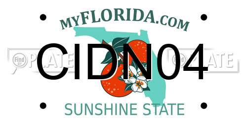 CIDN04 Florida License Plate
