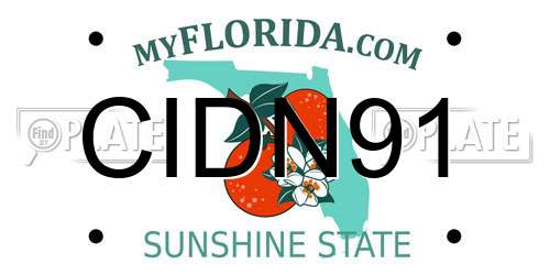 CIDN91 Florida License Plate