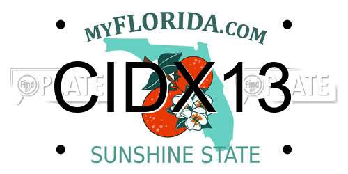CIDX13 Florida License Plate