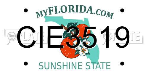 CIE3519 Florida License Plate
