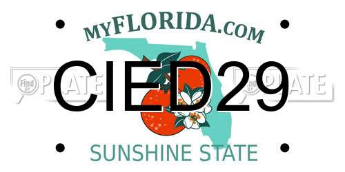 CIED29 Florida License Plate