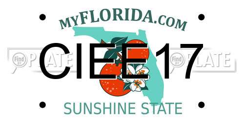 CIEE17 Florida License Plate