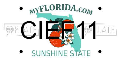 CIEF11 Florida License Plate